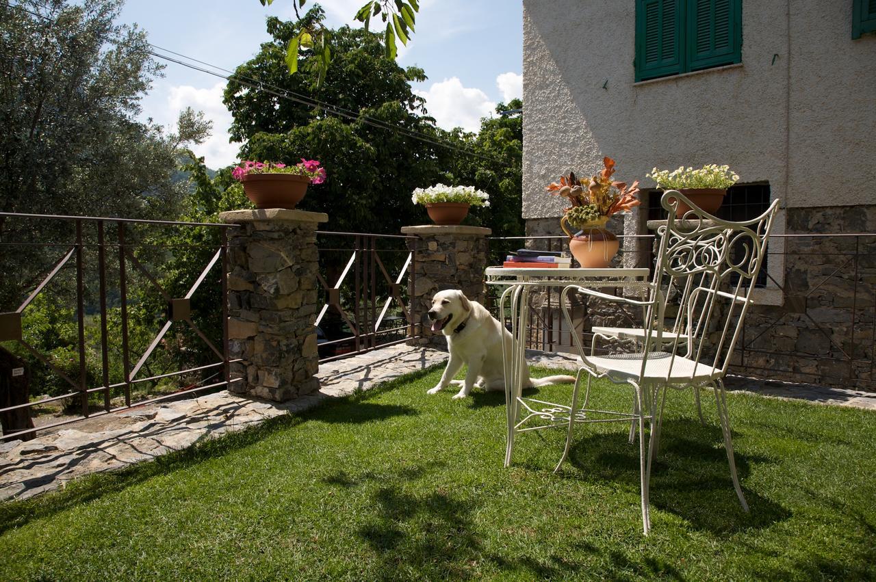 La Casa Dei Nonni Castelbianco Bed and Breakfast Colletta Exteriör bild