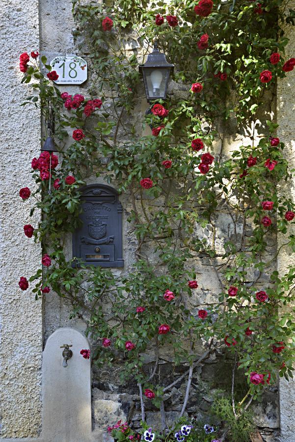 La Casa Dei Nonni Castelbianco Bed and Breakfast Colletta Exteriör bild